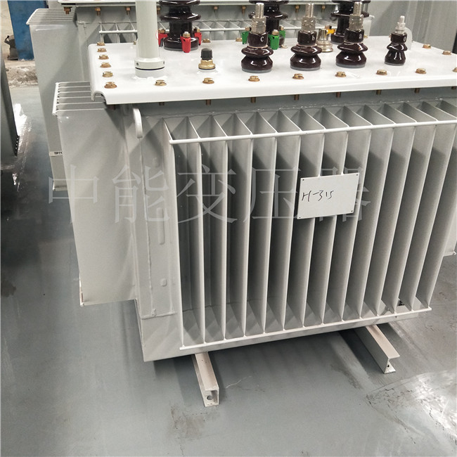 宁蒗S20-500KVA油浸式变压器