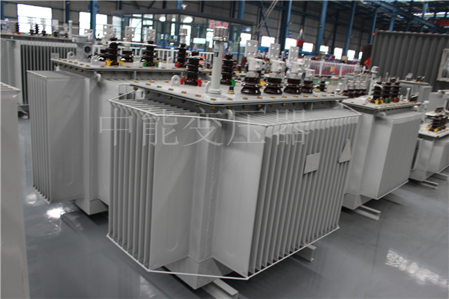 宁蒗2500KVA/10KV油浸式变压器